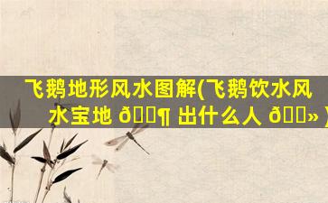 飞鹅地形风水图解(飞鹅饮水风水宝地 🐶 出什么人 🌻 )
